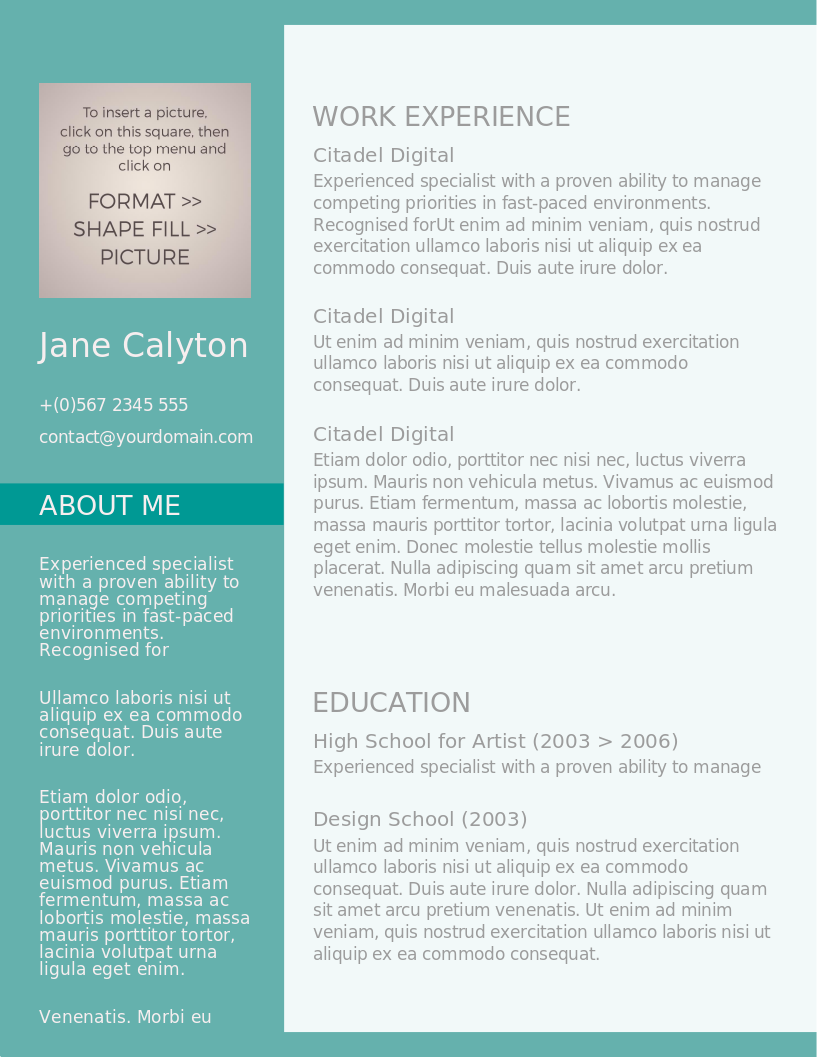 Classy Emerald CV – Vorschau